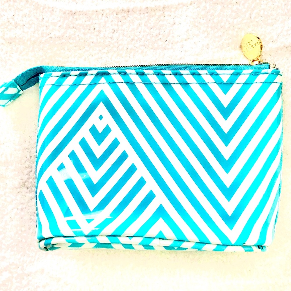 Dabney Lee Teal Chevron Cosmetic Case